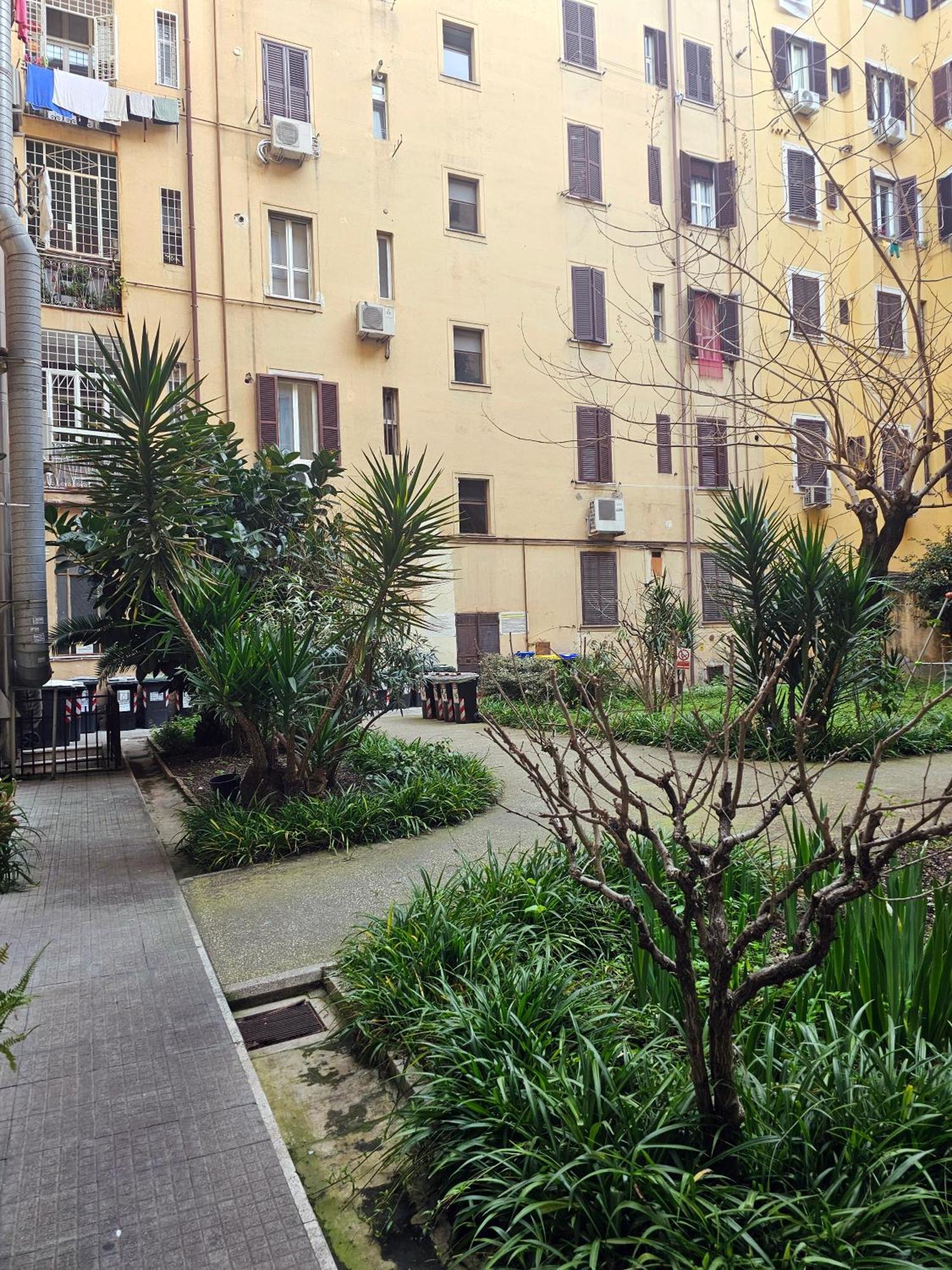 Cialdini 13 Roma Hotel Екстериор снимка